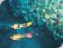 Heron Island Resort - 