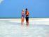 Heron Island Resort - 
