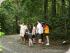Half Day Bloomfield Safari -