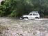 Half Day Bloomfield Safari -