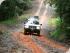 Half Day Bloomfield Safari -
