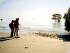 Half Day Bloomfield Safari -