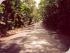Half Day Bloomfield Safari -