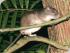 Croc Spotting Night Walk - 