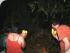 Croc Spotting Night Walk - 