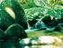 2 Hour Jungle Walk -