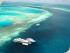 Fantasea Reefsleep -