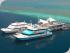 Fantasea Reefsleep -
