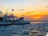 Fantasea Reefsleep -