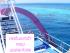 Fantasea Reefsleep -