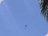 Castaways Resort & Spa -