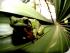 Long Island Escape -