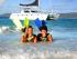Wings 2 - 