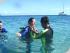 Wings 2 - 