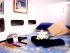 Wings 2 - 