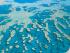 Beach Club -