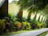 Palm Bungalows -