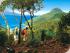 Palm Bungalows -