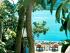 Qualia - 