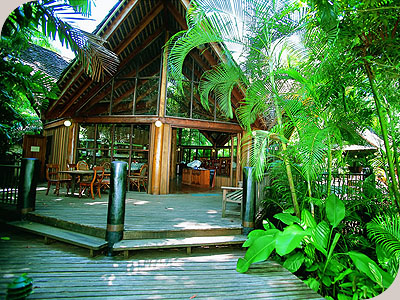 Ferntree Hostel - 
