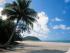 Ferntree Hostel -