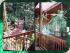 Daintree Discovery Centre - 
