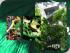 Daintree Discovery Centre - 