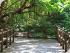BC - Sea Temple Port Douglas - 