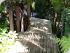 Villa Exotique - Decked timber walkway to pool