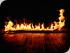 Rainforest Dining Experience - 