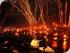 Rainforest Dining Experience - 