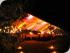 Rainforest Dining Experience - 