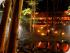 Rainforest Dining Experience - 