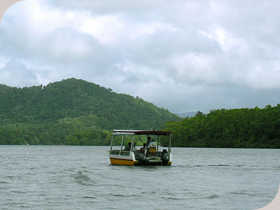 Mossman & Daintree River - 