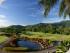 Paradise Palms Resort - 