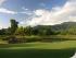 Paradise Palms Resort - 