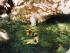 Half Day Rainforest Walk -
