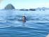 Double Island Kayaking -