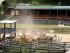 Stockmans Lunch -