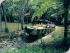 4 Park Pass - RAINFORESTATION