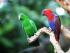 4 Park Pass - 