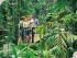2 Day Package - Option 3 -