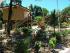 Licuala Lodge - 