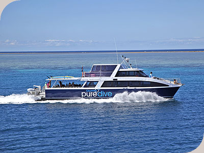Calypso Pure Snorkel - 
