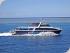 Calypso Pure Snorkel -