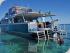 Calypso Pure Snorkel -