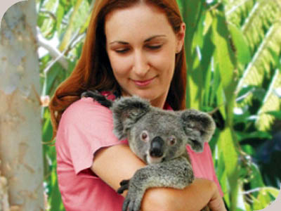 Kuranda Wildlife Experience - 