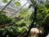 Kuranda Wildlife Experience -
