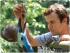 Kuranda Wildlife Experience -