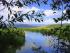 Crocodile Express -